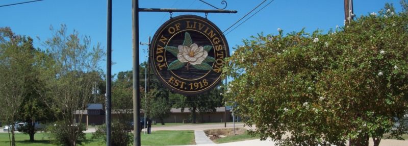 Best Bathroom Remodeling pros in Morgan City, LA